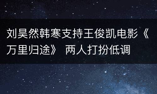 刘昊然韩寒支持王俊凯电影《万里归途》 两人打扮低调