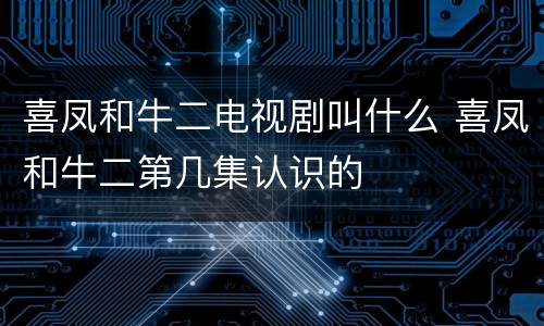 喜凤和牛二电视剧叫什么 喜凤和牛二第几集认识的
