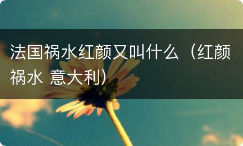法国祸水红颜又叫什么（红颜祸水 意大利）