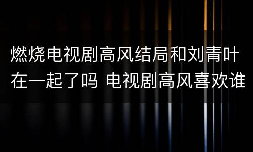 燃烧电视剧高风结局和刘青叶在一起了吗 电视剧高风喜欢谁