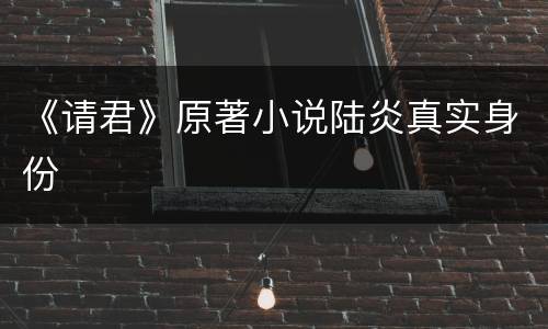 《请君》原著小说陆炎真实身份