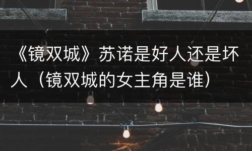 《镜双城》苏诺是好人还是坏人（镜双城的女主角是谁）