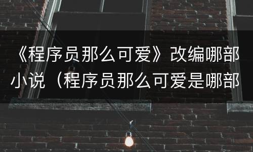 《程序员那么可爱》改编哪部小说（程序员那么可爱是哪部小说改编的）