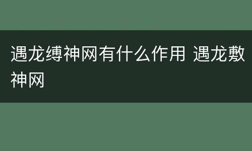 遇龙缚神网有什么作用 遇龙敷神网