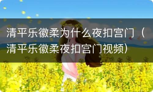 清平乐徽柔为什么夜扣宫门（清平乐徽柔夜扣宫门视频）