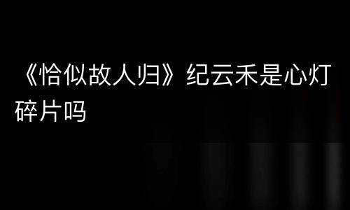 《恰似故人归》纪云禾是心灯碎片吗