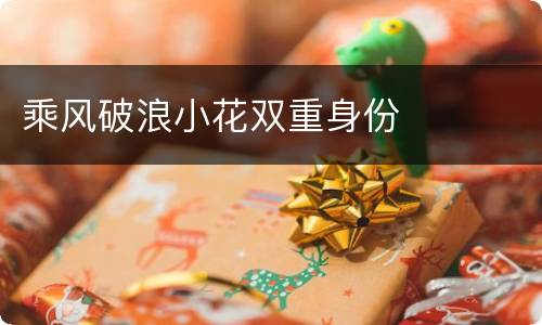 乘风破浪小花双重身份