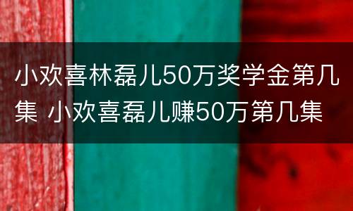小欢喜林磊儿50万奖学金第几集 小欢喜磊儿赚50万第几集