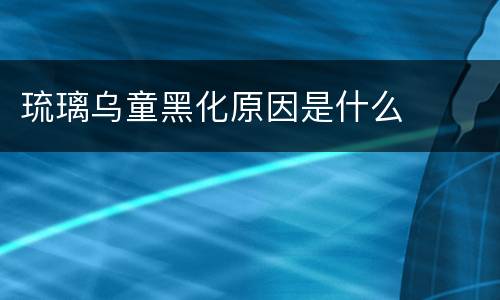 琉璃乌童黑化原因是什么
