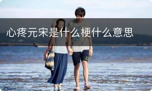 心疼元宋是什么梗什么意思