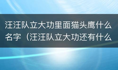 汪汪队立大功里面猫头鹰什么名字（汪汪队立大功还有什么名字）