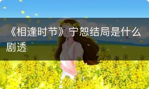 《相逢时节》宁恕结局是什么剧透