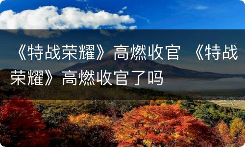 《特战荣耀》高燃收官 《特战荣耀》高燃收官了吗