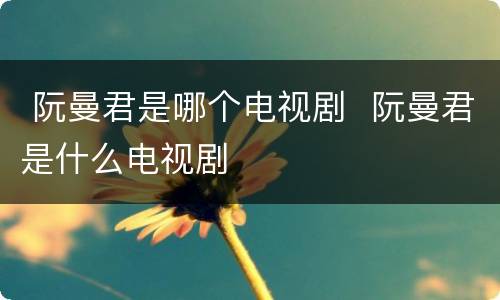  阮曼君是哪个电视剧  阮曼君是什么电视剧
