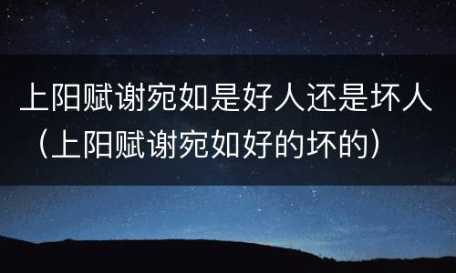 上阳赋谢宛如是好人还是坏人（上阳赋谢宛如好的坏的）