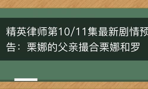 精英律师第10/11集最新剧情预告：栗娜的父亲撮合栗娜和罗槟