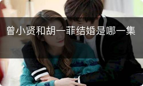 曾小贤和胡一菲结婚是哪一集
