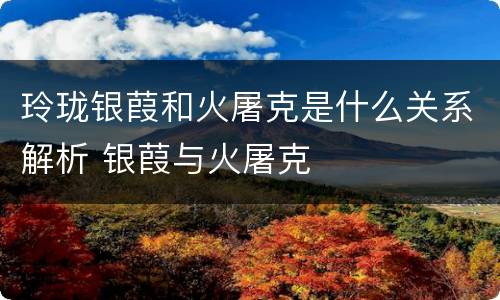 玲珑银葭和火屠克是什么关系解析 银葭与火屠克