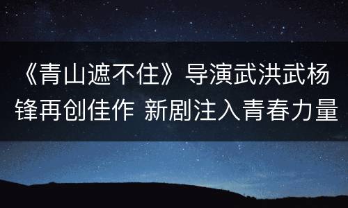 《青山遮不住》导演武洪武杨锋再创佳作 新剧注入青春力量