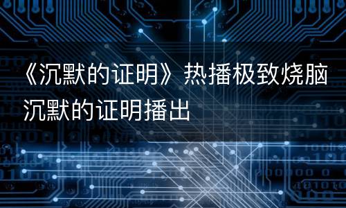 《沉默的证明》热播极致烧脑 沉默的证明播出