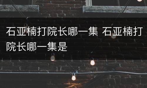 石亚楠打院长哪一集 石亚楠打院长哪一集是