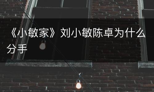 《小敏家》刘小敏陈卓为什么分手