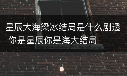 星辰大海梁冰结局是什么剧透 你是星辰你是海大结局