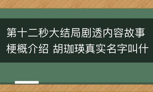 第十二秒大结局剧透内容故事梗概介绍 胡珈瑛真实名字叫什么