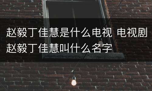赵毅丁佳慧是什么电视 电视剧赵毅丁佳慧叫什么名字