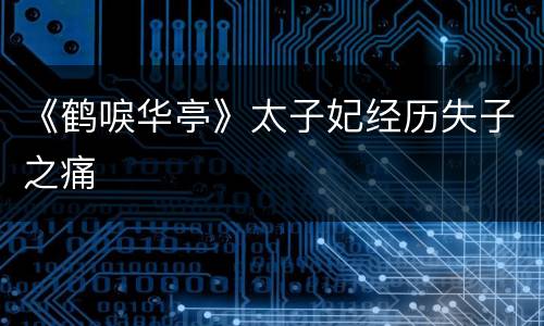 《鹤唳华亭》太子妃经历失子之痛