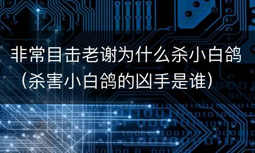 非常目击老谢为什么杀小白鸽（杀害小白鸽的凶手是谁）