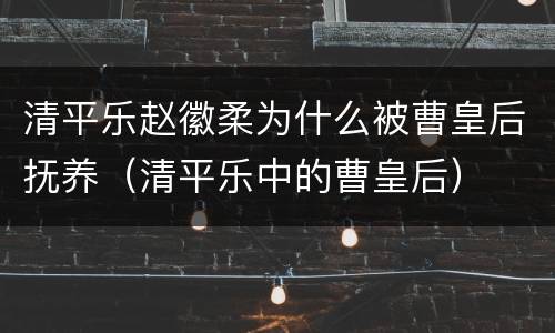 清平乐赵徽柔为什么被曹皇后抚养（清平乐中的曹皇后）
