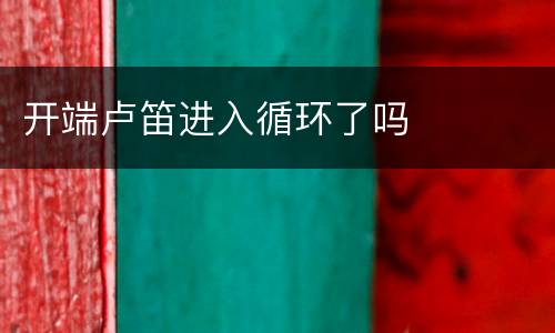 开端卢笛进入循环了吗