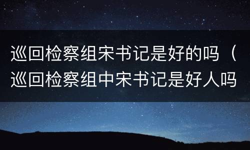 巡回检察组宋书记是好的吗（巡回检察组中宋书记是好人吗）