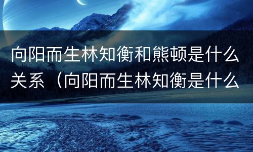 向阳而生林知衡和熊顿是什么关系（向阳而生林知衡是什么样的）