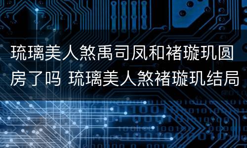 琉璃美人煞禹司凤和褚璇玑圆房了吗 琉璃美人煞褚璇玑结局
