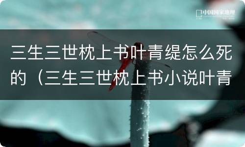 三生三世枕上书叶青缇怎么死的（三生三世枕上书小说叶青缇什么时候出现）
