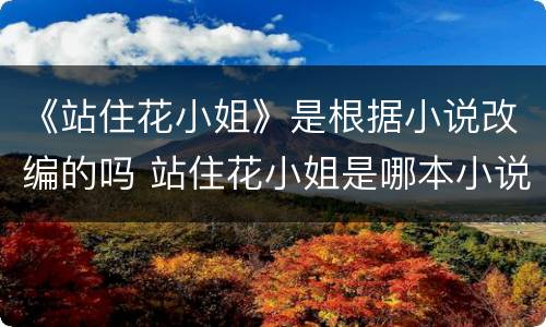 《站住花小姐》是根据小说改编的吗 站住花小姐是哪本小说