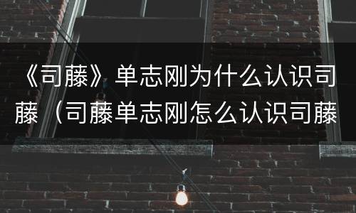 《司藤》单志刚为什么认识司藤（司藤单志刚怎么认识司藤）