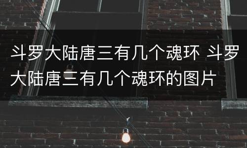 斗罗大陆唐三有几个魂环 斗罗大陆唐三有几个魂环的图片