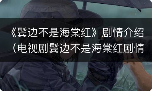 《鬓边不是海棠红》剧情介绍（电视剧鬓边不是海棠红剧情介绍）