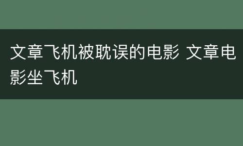 文章飞机被耽误的电影 文章电影坐飞机