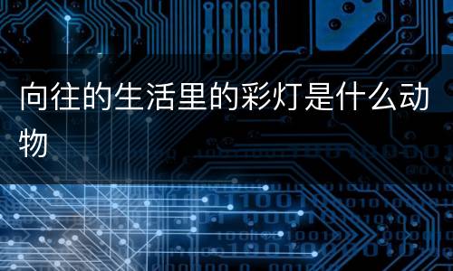 向往的生活里的彩灯是什么动物