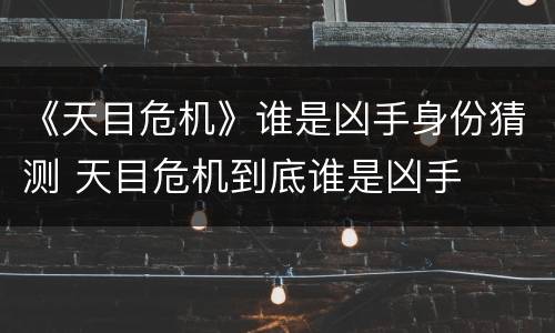 《天目危机》谁是凶手身份猜测 天目危机到底谁是凶手