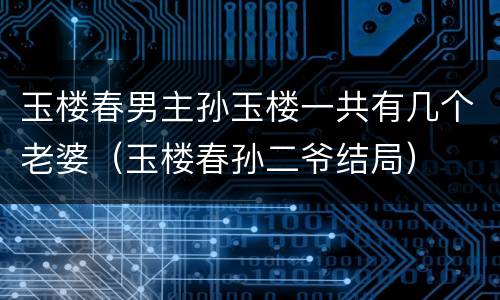 玉楼春男主孙玉楼一共有几个老婆（玉楼春孙二爷结局）
