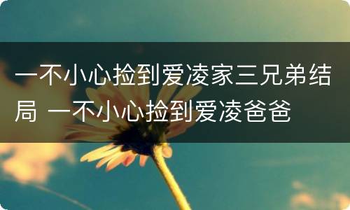 一不小心捡到爱凌家三兄弟结局 一不小心捡到爱凌爸爸