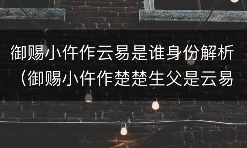 御赐小仵作云易是谁身份解析（御赐小仵作楚楚生父是云易是谁）