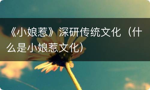 《小娘惹》深研传统文化（什么是小娘惹文化）