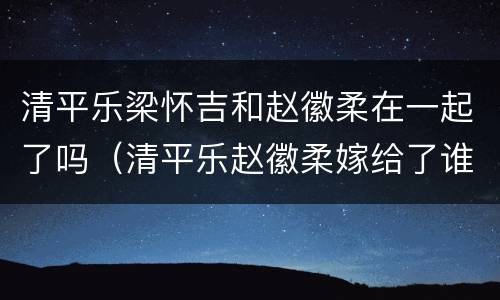 清平乐梁怀吉和赵徽柔在一起了吗（清平乐赵徽柔嫁给了谁）