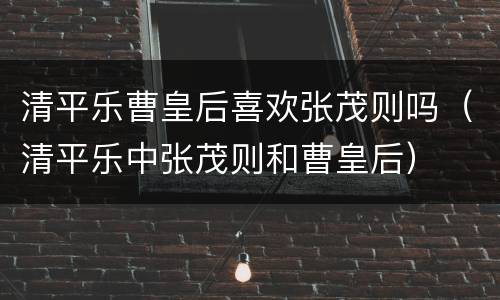 清平乐曹皇后喜欢张茂则吗（清平乐中张茂则和曹皇后）